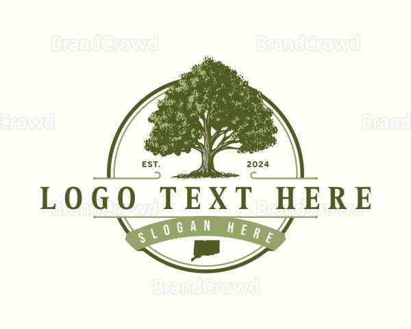 Connecticut White Oak Tree Logo