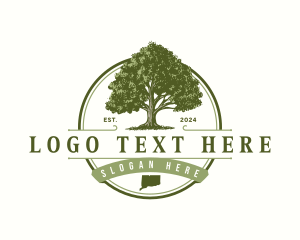 Plant - Connecticut White Oak Tree logo design