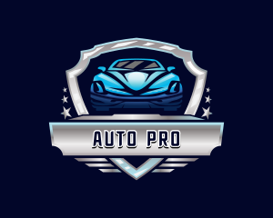 Car Auto Detailing logo design