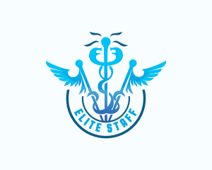 Staff - Medical Caduceus Healthcare logo design