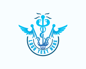 Medical Caduceus Healthcare Logo