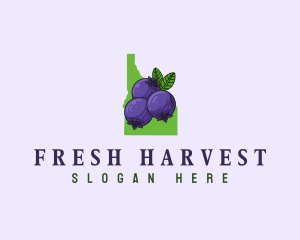 Idaho Blueberry Fruit logo design