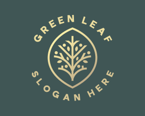 Eco Leaf Branch  logo design