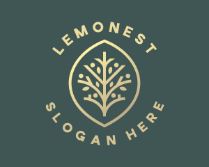 Branch - Eco Leaf Branch logo design