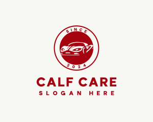 Sports Car Detailing logo design