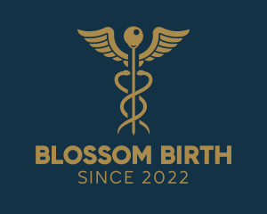 Obstetrician - Medical Doctor Symbol logo design