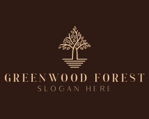 Tree Eco Forestry logo design