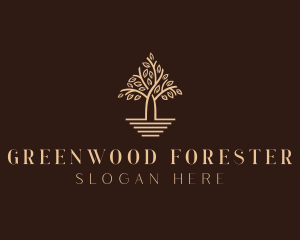 Tree Eco Forestry logo design