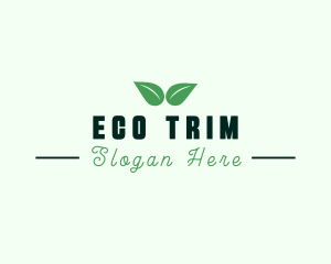 Eco Natural Leaf  logo design