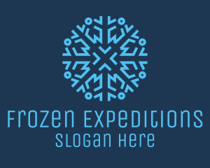Antarctica - Ice Frost Snowflake logo design