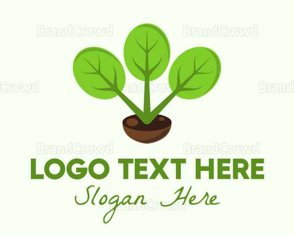 Plant Gardening Pot Logo