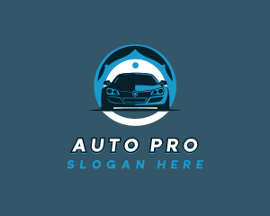 Auto Detailing Vehicle logo design