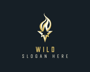 Business - Flame Torch Star Agency logo design