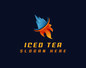 Fire Ice Element logo design