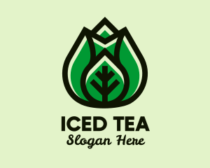 Modern Healthy Leaf  logo design