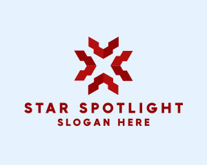 Creative Modern Star logo design