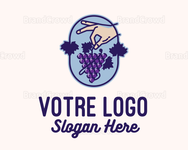 Grape Vine Harvest Logo