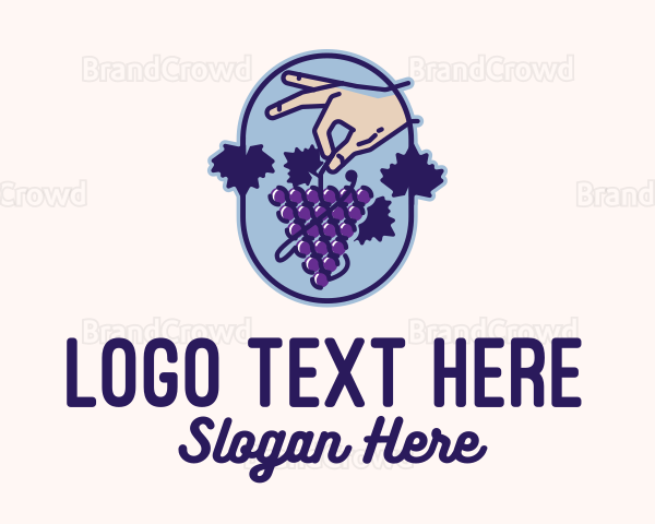 Grape Vine Harvest Logo