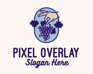 Grape Vine Harvest  logo design