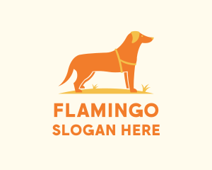Animal - Dog Pet Veterinary logo design