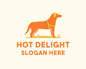 Dog Pet Veterinary logo design