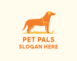 Dog Pet Veterinary logo design