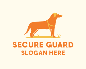 Dog Training - Dog Pet Veterinary logo design