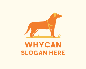 Great Dane - Dog Pet Veterinary logo design
