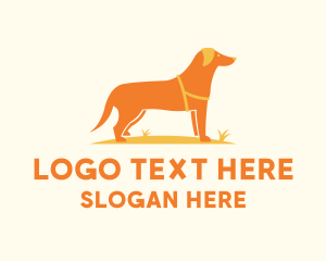 Dog Pet Veterinary Logo