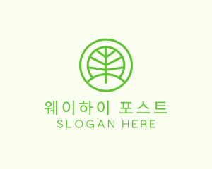 Green Eco Forest logo design