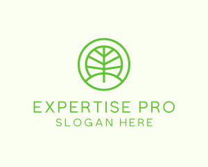 Green Eco Forest logo design