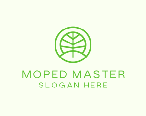 Green Eco Forest logo design