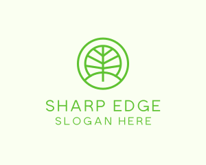 Green Eco Forest logo design