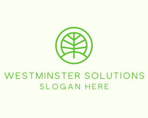 Green Eco Forest logo design