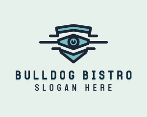 Blue Visual Eye logo design