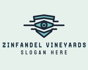 Blue Visual Eye logo design