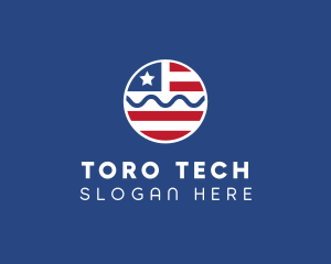 Patriot American Flag  logo design