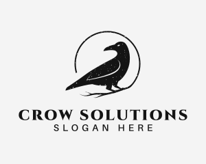 Crow - Raven Crow Bird logo design