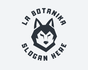 Alpha - Alpha Wolf Animal logo design