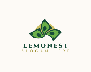 Money Cash Lender Logo