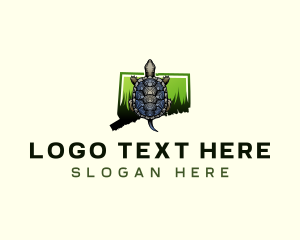 Wild - Connecticut Bog Turtle logo design