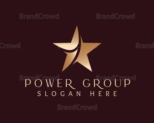 VIP Star Company Logo