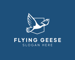 Flying Eagle Wings logo design