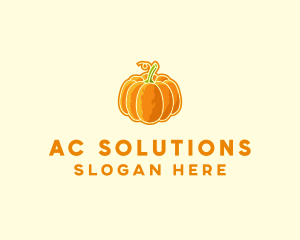 Orange Pumpkin Vegetable logo design