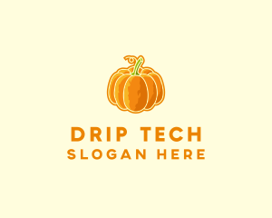 Orange Pumpkin Vegetable logo design