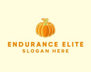 Orange Pumpkin Vegetable logo design