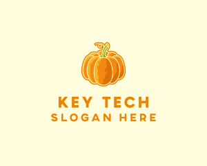 Orange Pumpkin Vegetable logo design