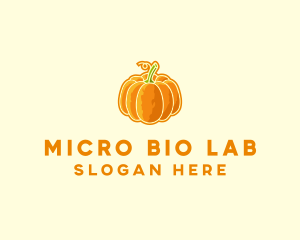 Orange Pumpkin Vegetable logo design