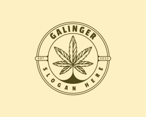 Cannabis - Herbal Marijuana Leaf logo design