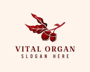 Organic Maroon Acorn logo design